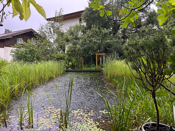 12 von 12 Juli 24 - Bild 12 Regen fällt auf den Gartenteich