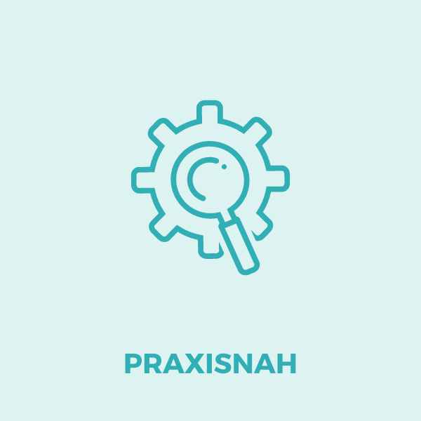 Praxisnahes Mentoring Programm