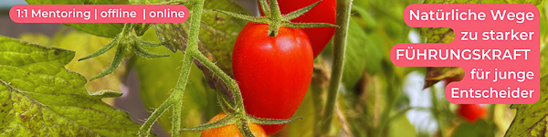 Banner für Linkedin mit reifen Tomaten