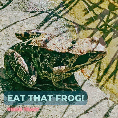 Ein Frosch steht für die Eat that Frog Methode gegen Aufschieberitis