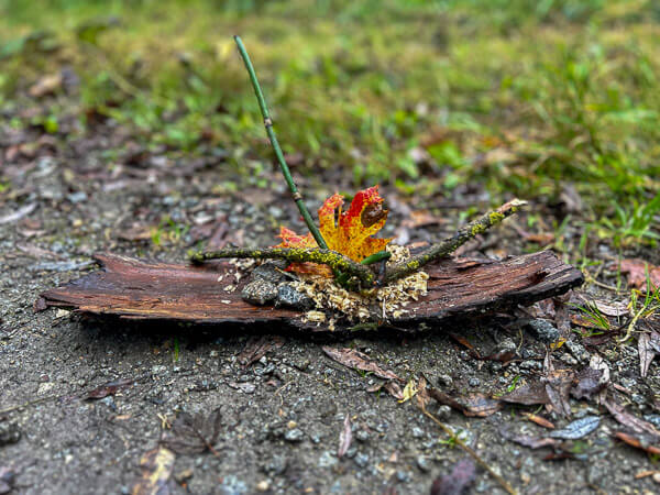 Naturcollage aus Rinde, Herbstblatt, Zweigen und Moos – Sinnbild für Achtsamkeit und Kreativität im Coaching in der Natur.