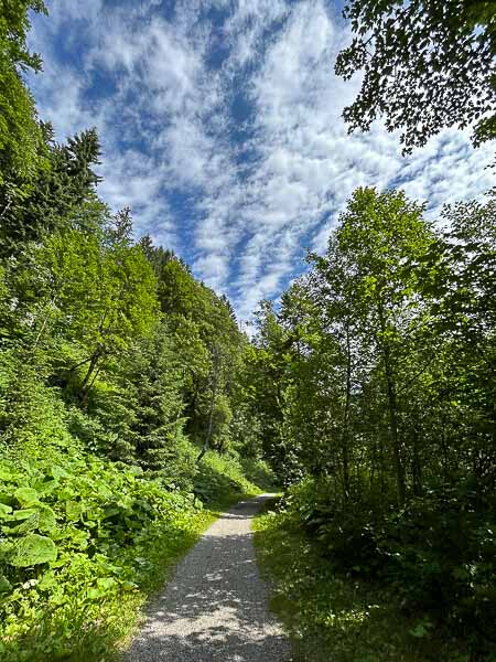 Waldweg unter blauem Himmel mit weißen Wolken – Einladung zum Gehgespräch im Coaching in der Natur.